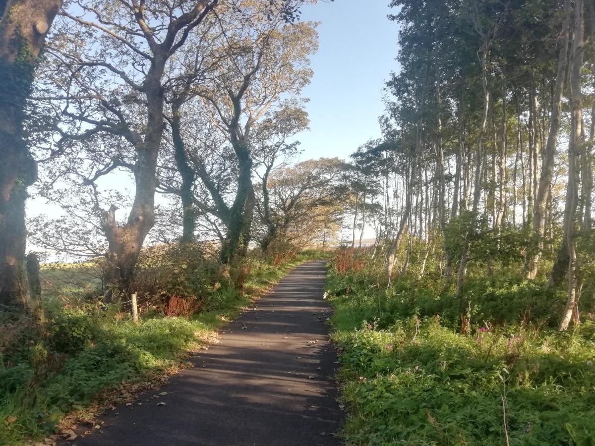Pier Road Cottage, Croagh Patrick Γουέστπορτ Εξωτερικό φωτογραφία